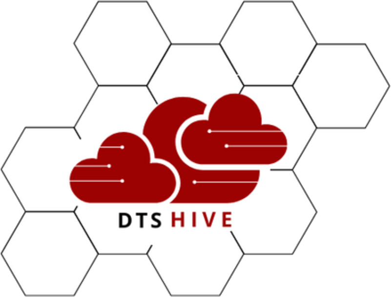 DTS Hive logo